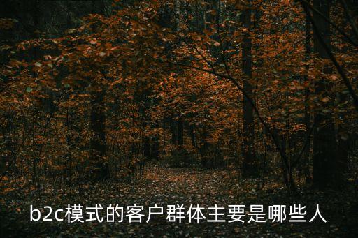 b2c模式，什么是b2c