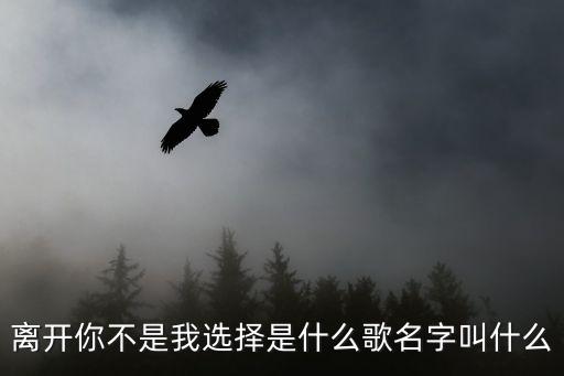 離開你不是我選擇，離開你不是我選擇留下你我怎么舍得這詞是哪首歌里的歌曲名