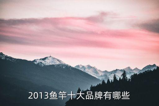 十大名牌魚竿排名，十個牌子的釣魚竿 牌子分別是