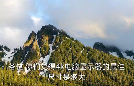 各位 你們覺得4k電腦顯示器的最佳尺寸是多大