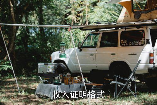 個人工資證明范本，薪金證明范本