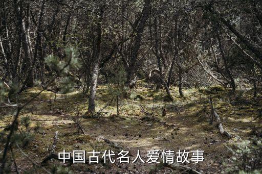 名人愛情故事，要幾個古代名人愛情故事