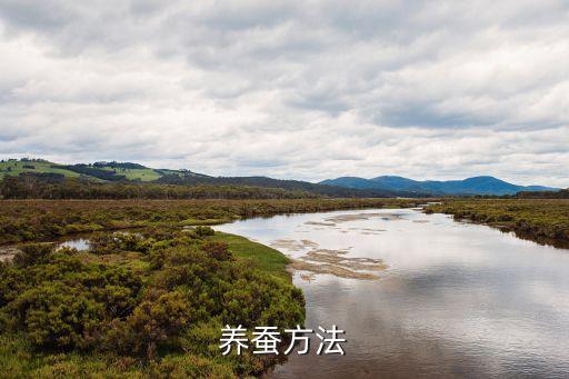 養(yǎng)蠶技術(shù)，怎樣養(yǎng)蠶蠶繭又大又白
