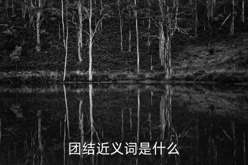 團結近義詞是什么