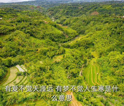 有夢不覺人生寒，無跡方知人事艱有夢不覺人生寒什么意思下句是什么
