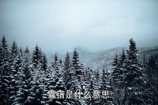 午錯，囊錯是什么意思