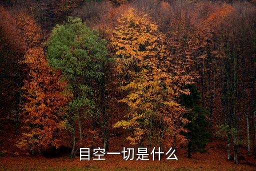 目空一切的意思是，目空一切的意思