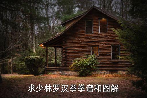 求少林羅漢拳拳譜和圖解