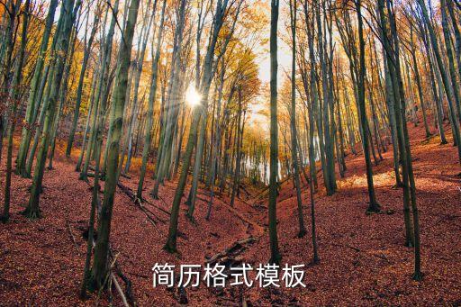 個人簡歷模板圖片，個人簡歷樣本