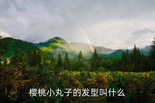 櫻桃小丸子的發(fā)型叫什么