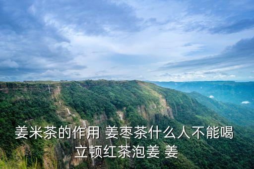 姜米茶的作用 姜棗茶什么人不能喝 立頓紅茶泡姜 姜
