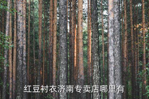 紅豆襯衣，紅豆襯衣濟南專賣店哪里有