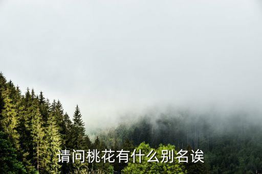 桃花的介紹，桃花什么意思