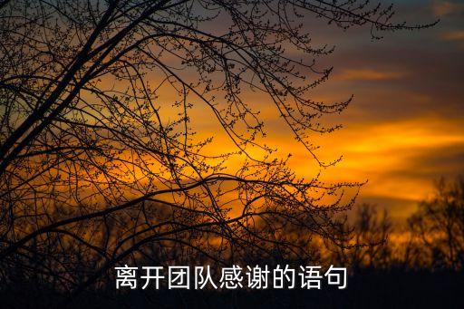 離職感謝，老板對我很好現在要離職了要怎么說幾句好聽的話感謝老板