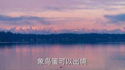 象鳥蛋，象鳥早在16世紀(jì)滅絕為何現(xiàn)在有人拍賣象鳥蛋大小100個(gè)雞蛋