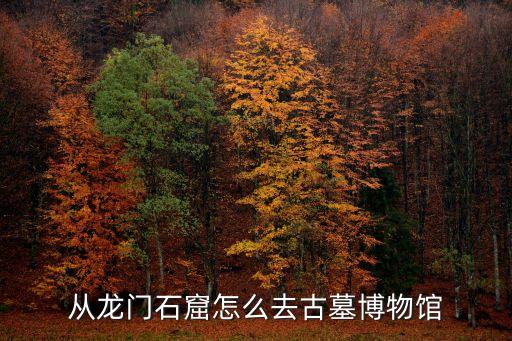 古墓博物館，從龍門石窟怎么去古墓博物館