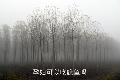 孕婦能吃鱔魚嗎，孕婦不能吃鱔魚嗎