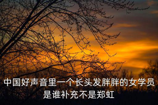 中國好聲音里一個長頭發(fā)胖胖的女學員是誰補充不是鄭虹