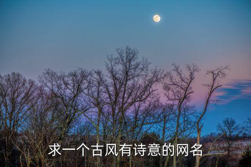 求一個古風有詩意的網名