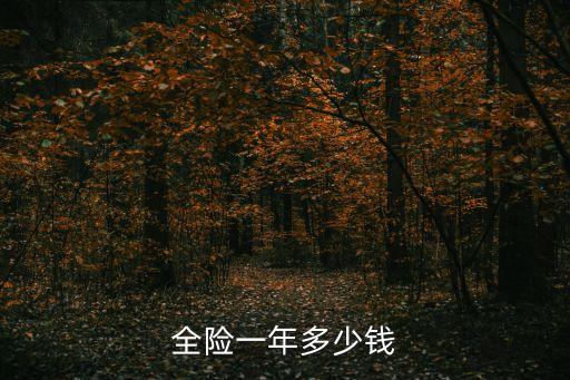 全險一年多少錢
