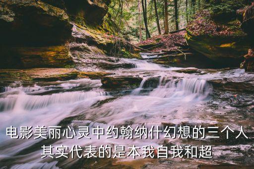 電影美麗心靈中約翰納什幻想的三個人其實代表的是本我自我和超