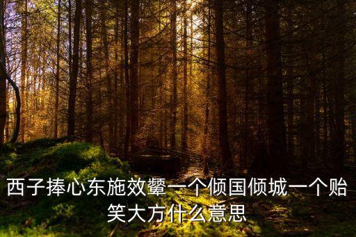 西子捧心東施效顰一個傾國傾城一個貽笑大方什么意思