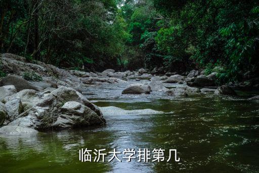 臨沂大學(xué)排第幾