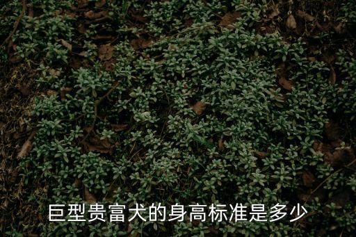 貴富，喜有貴富什么意思