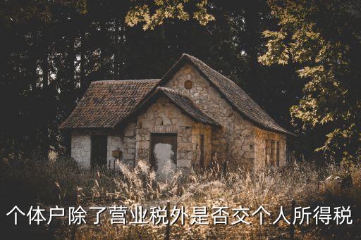 個體戶除了營業稅外是否交個人所得稅