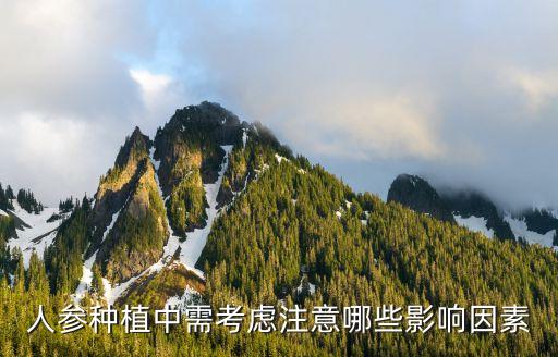 人參種植技術，人參種植中需考慮注意哪些影響因素