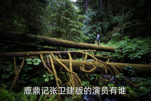 胡德帝，我問你那個小寶與康熙的胡德帝是誰演的