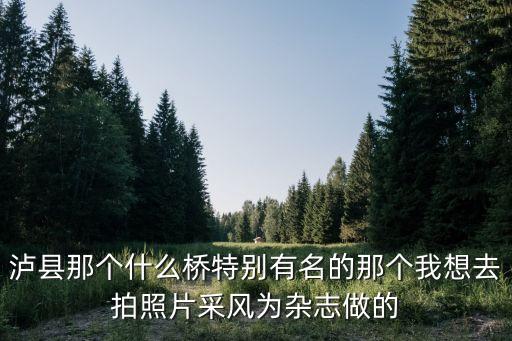 瀘縣那個什么橋特別有名的那個我想去拍照片采風為雜志做的