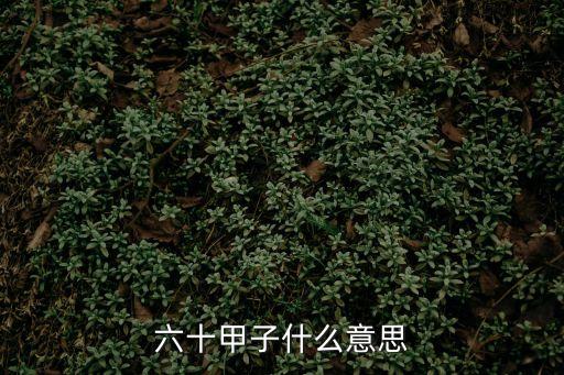 六十甲子什么意思
