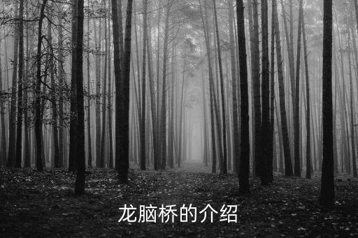 龍腦橋的介紹