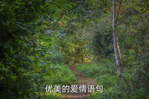 情話說說，情話句子有哪些