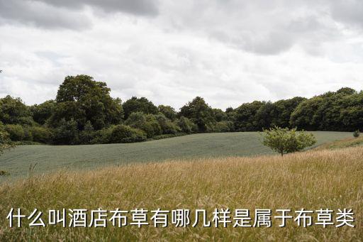 客房布草，什么叫酒店布草有哪幾樣是屬于布草類