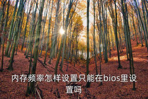 內(nèi)存頻率怎么調(diào)，內(nèi)存頻率怎樣設(shè)置只能在bios里設(shè)置嗎