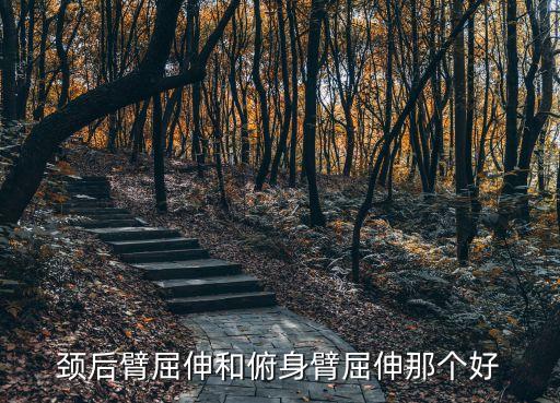 頸后臂屈伸，頸后臂屈伸一天做幾組