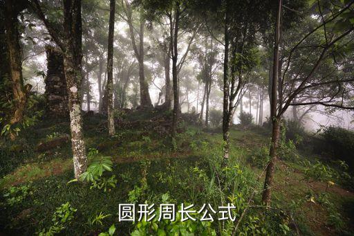 圓形周長公式
