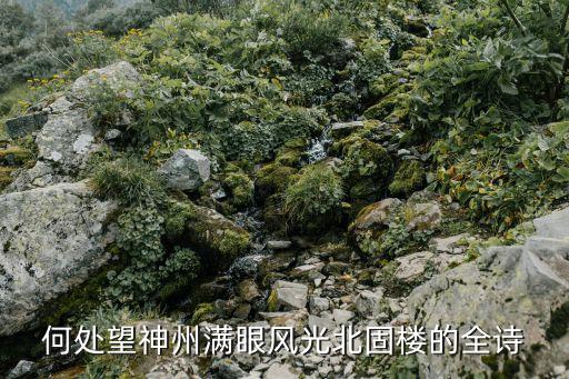 南鄉子何處望神州，南鄉子登京口北固亭有懷何處望神州 中 神州是什么地方