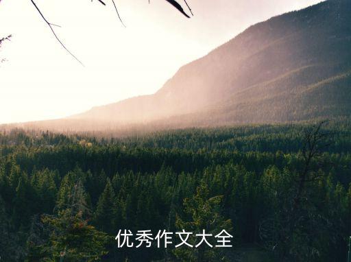 優(yōu)秀滿分作文，優(yōu)秀高考作文