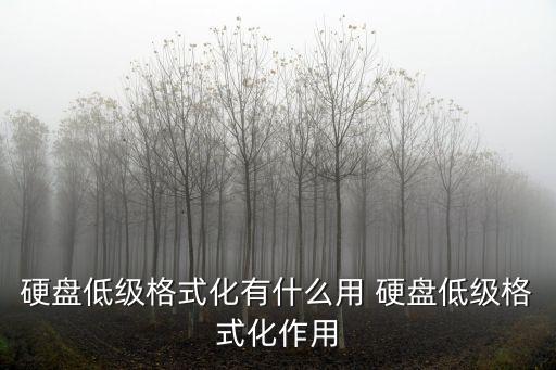 硬盤低級格式化有什么用 硬盤低級格式化作用