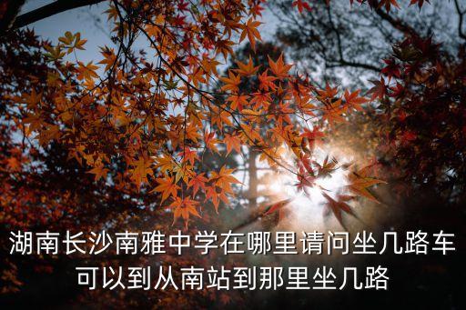 湖南南雅中學，南雅中學在哪里