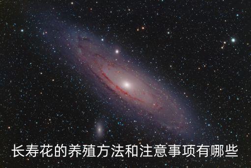 長春花怎么養，長壽花該怎么養呢