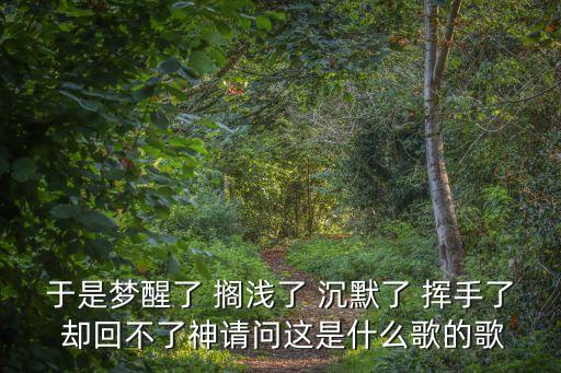 于是夢醒了 擱淺了 沉默了 揮手了 卻回不了神請問這是什么歌的歌