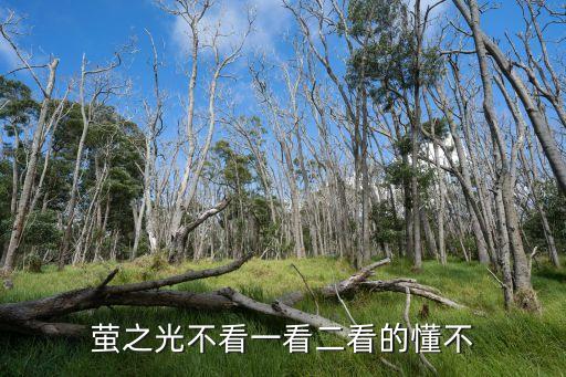 螢之光不看一看二看的懂不