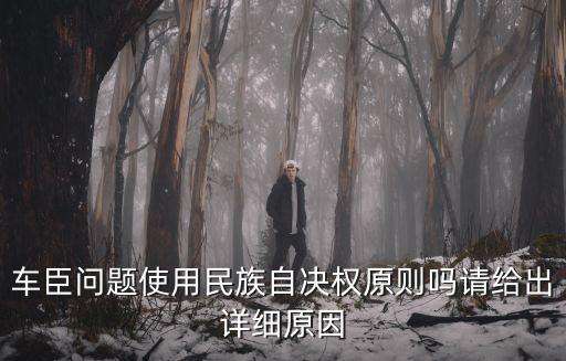民族自決權，48民族自決權的根本目的是實現