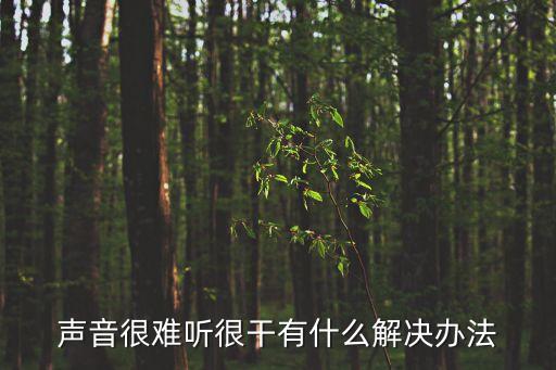 聲音很難聽很干有什么解決辦法