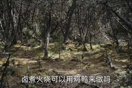 鹵煮火燒的做法，豆腐怎么做好吃 鹵煮火燒的做法 豆腐的做法大全