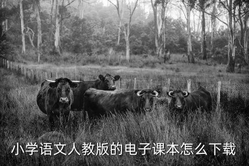 語文書電子版，小學(xué)語文人教版的電子課本怎么下載